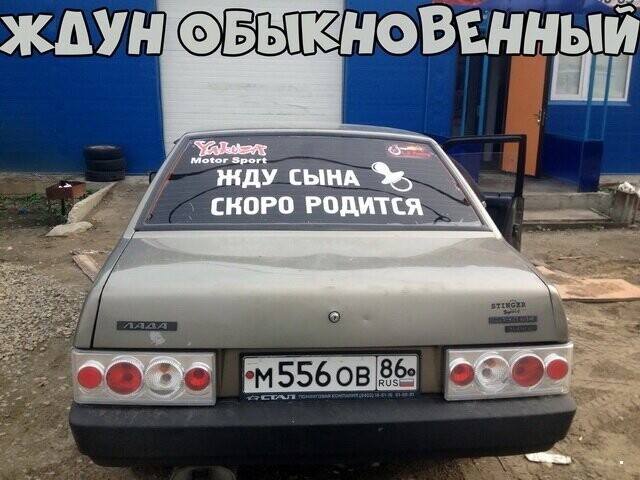 Автовсячина