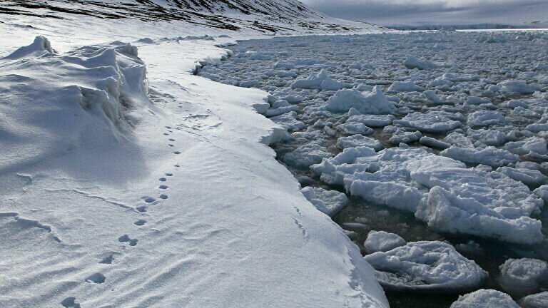 В Арктике открыли новый остров, возникший из-за глобального потепления