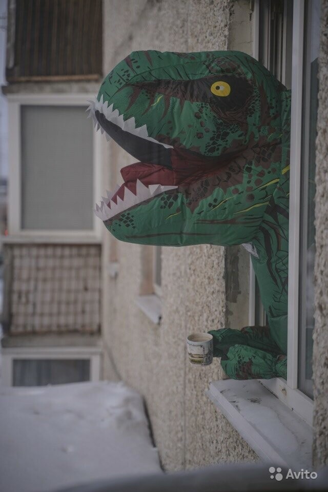 В Тюмени в объявление об аренде квартиры добавили динозавра