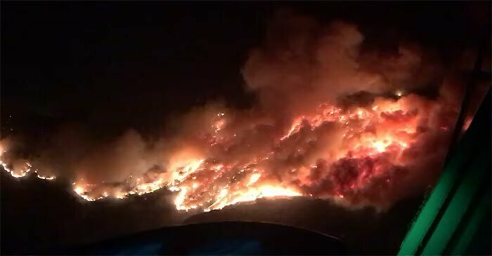 Калифорнийские пожарные спасли филина