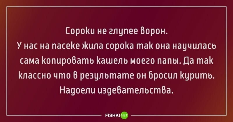 Забавные истории, которые случились в реальной жизни