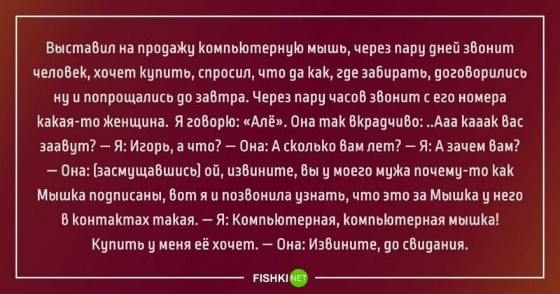 Забавные истории, которые случились в реальной жизни