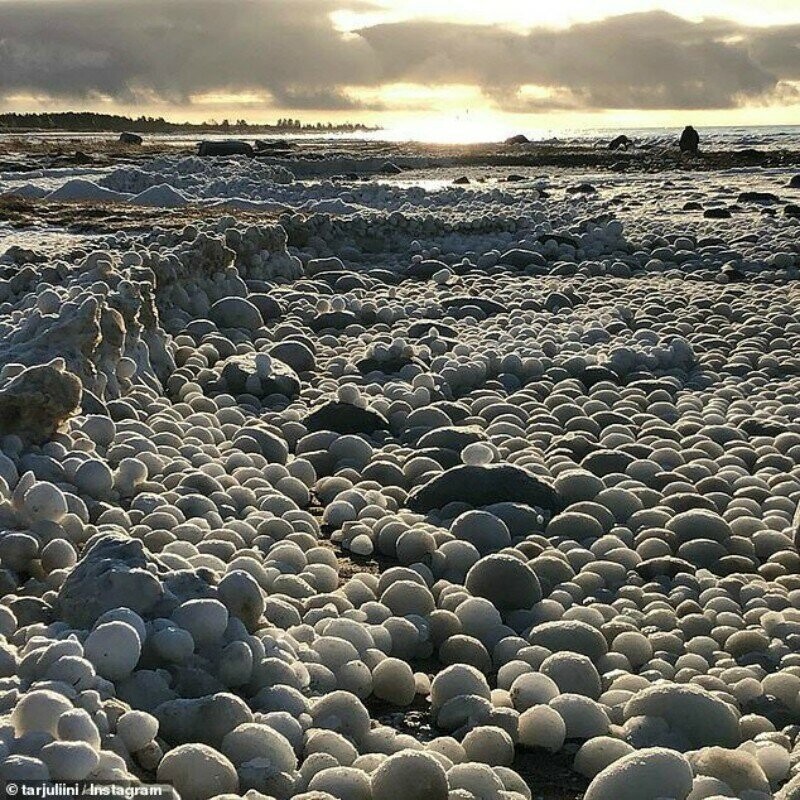 Финский пляж усеяло необычными "ледяными яйцами"
