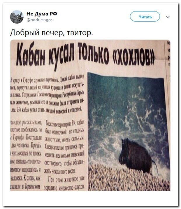 Политические скрины