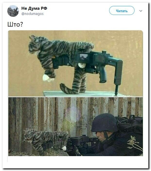 Политические скрины