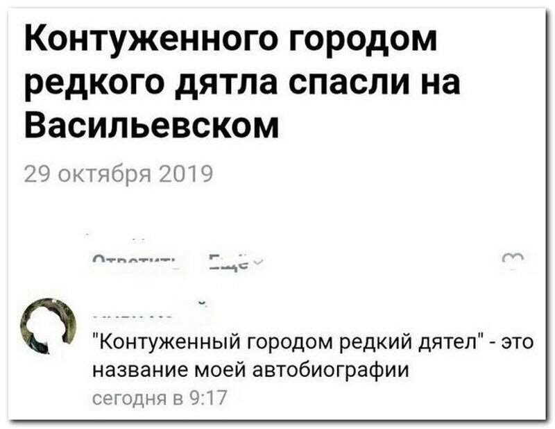 Забавные комментарии из социальных сетей