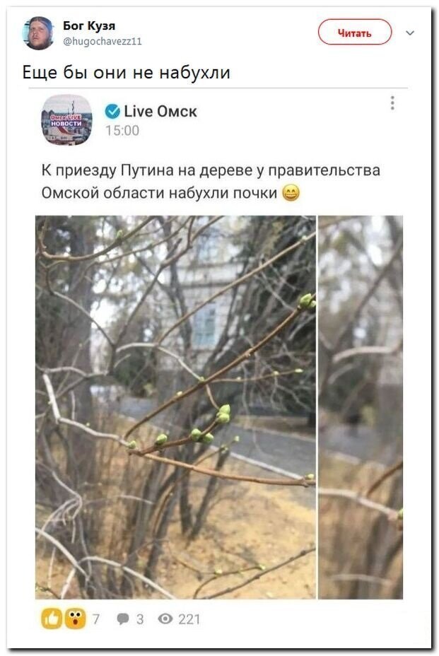 Политические скрины