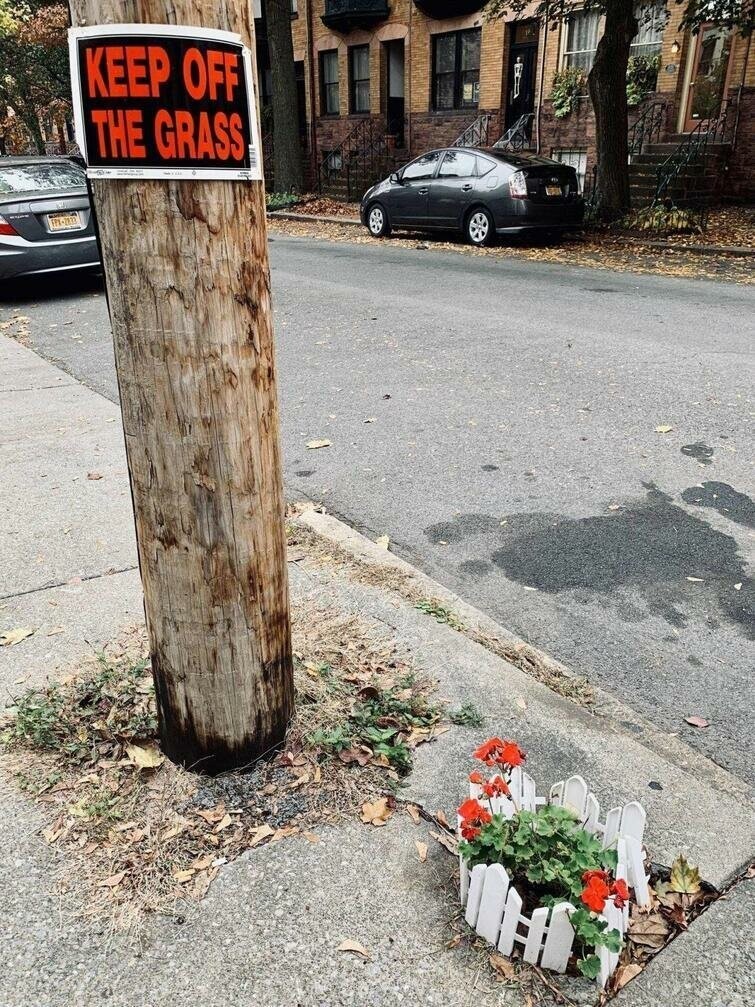 "По газонам не ходить" — надпись на столбе возле микроклумбы