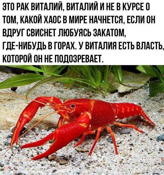 Прикольные и смешные картинки