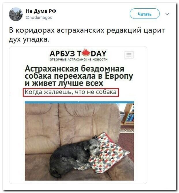 Политические скрины