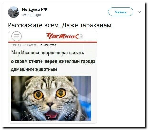 Политические скрины