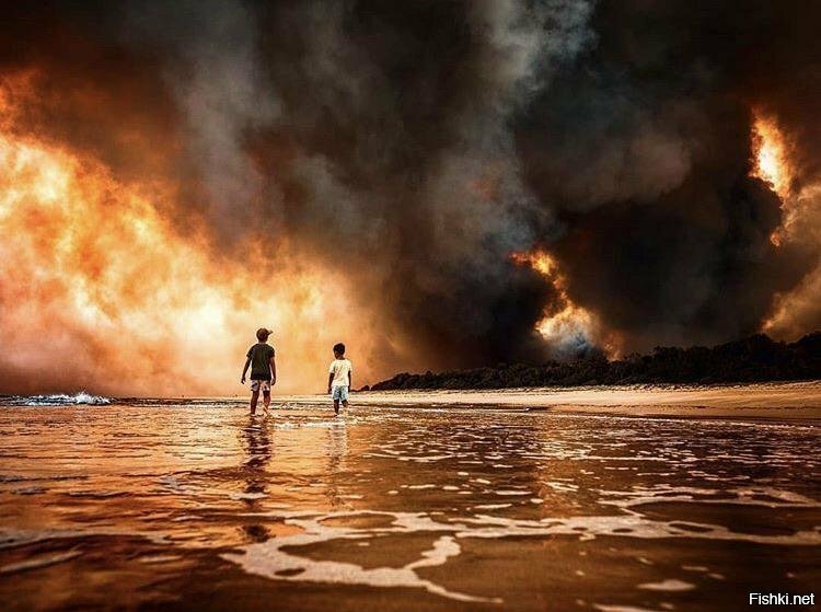 Лесные пожары в Новом Южном Уэльсе, Австралия