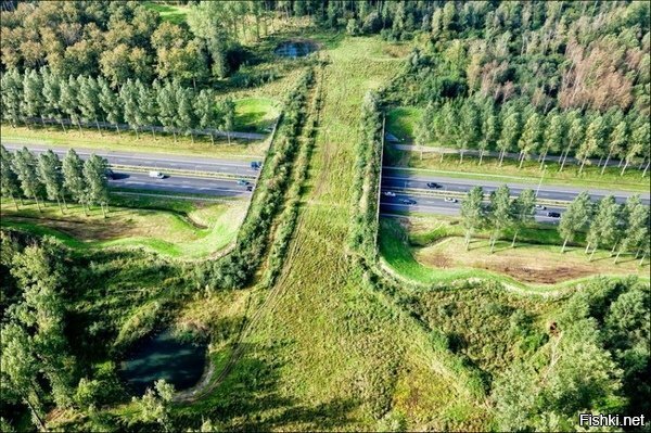 Экодуки в Нидерландах 