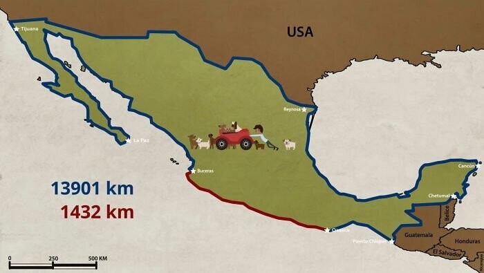 Перрос прошел 14000 км по периметру Мексики, ему осталось еще 1432 км 