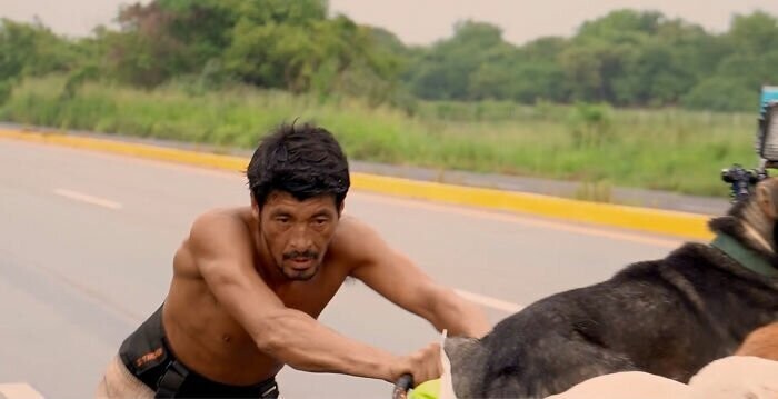 Мужчина с тележкой странствует по Мексике, спасая раненых и больных собак