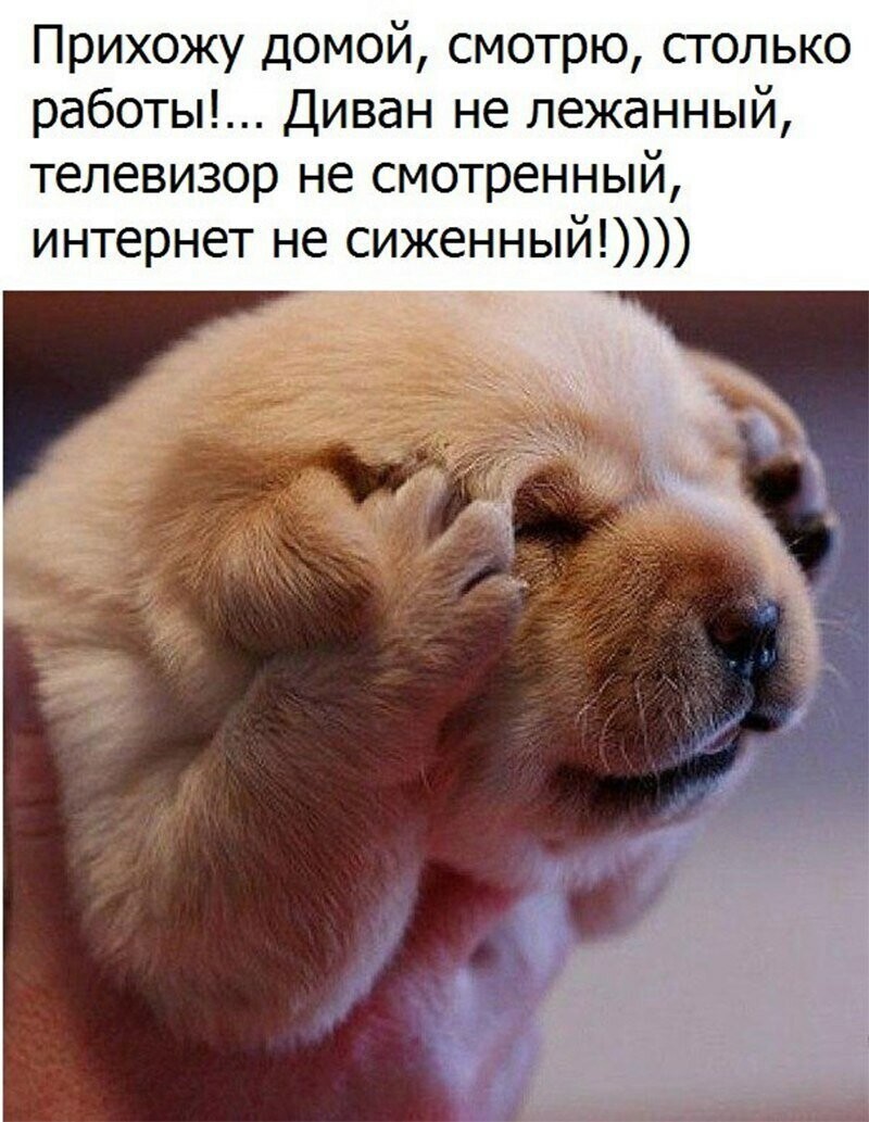 Понедельник - день тяжелый