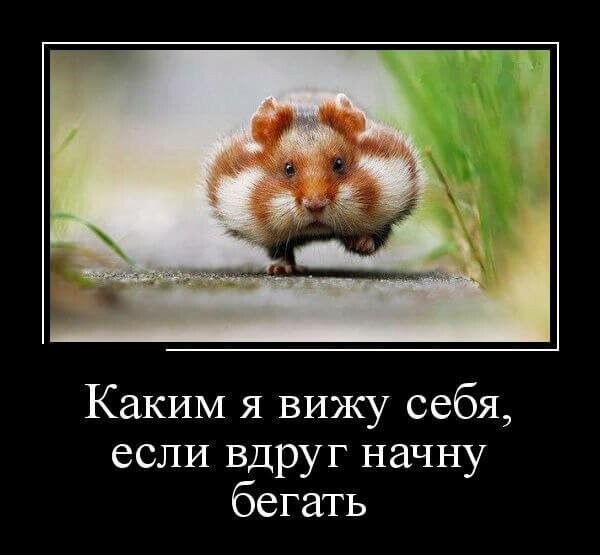 Понедельник - день тяжелый