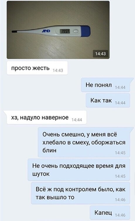 Прикольные и смешные картинки