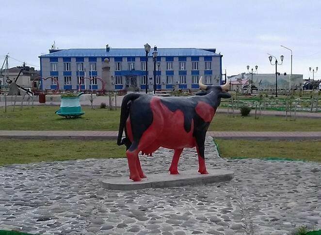 Трагическая история любви красной коровы из Южно-Курильска растрогала россиян
