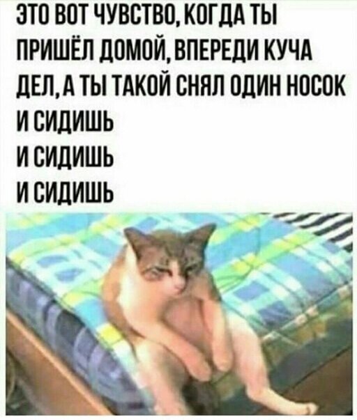 Прикольные и смешные картинки