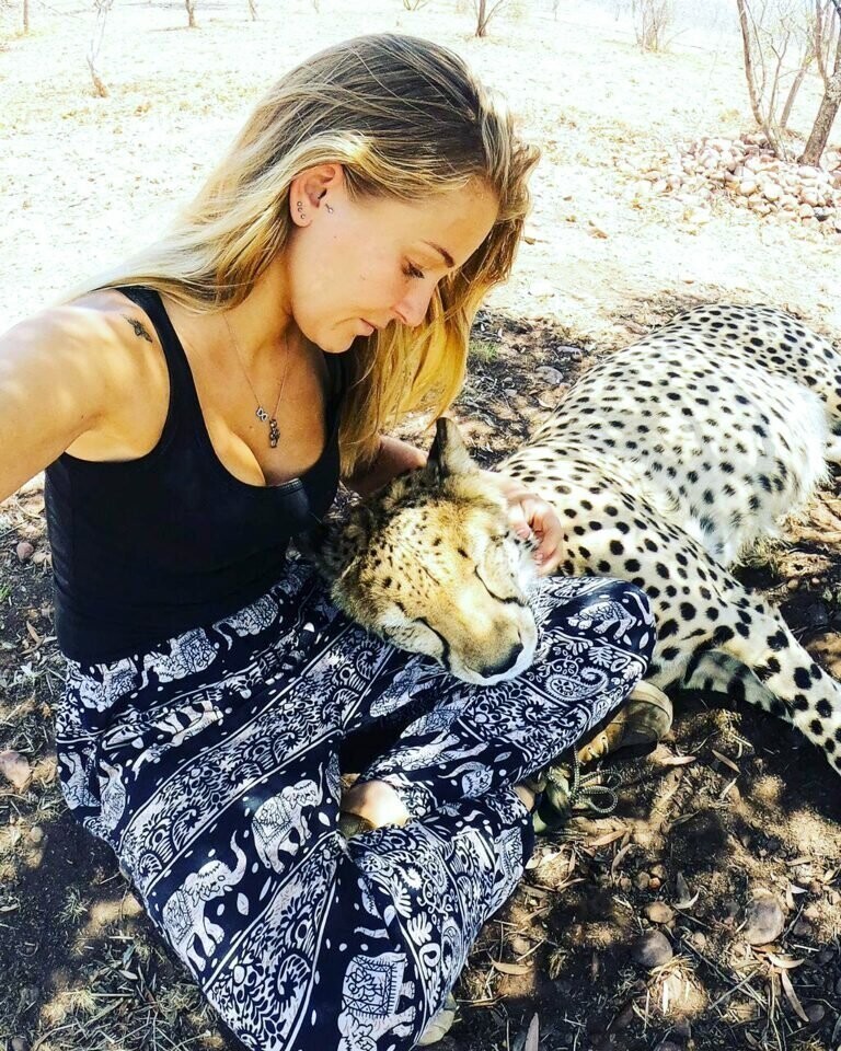 Обворожительная девушка дружит с гепардами и совсем их не боится