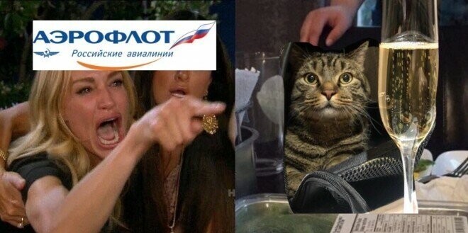 «Сегодня – кот, а завтра – каждый из нас»: реакция соцсетей на конфликт «Аэрофлота» и хозяина кота