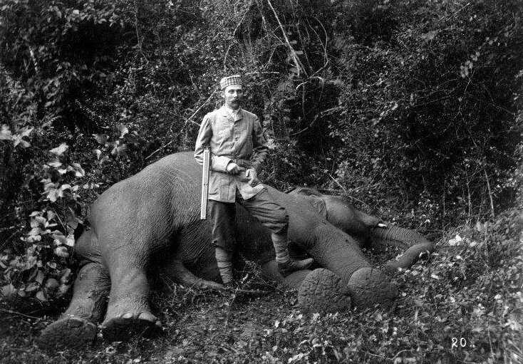 Эрцгерцог Франц Фердинанд с первым убитым слоном. Британский Цейлон. 1893 год. 