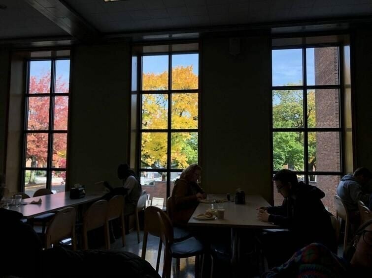 Деревья в каждом окне имеют листья разных цветов
