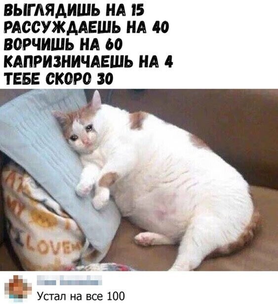 Прикольные и смешные картинки