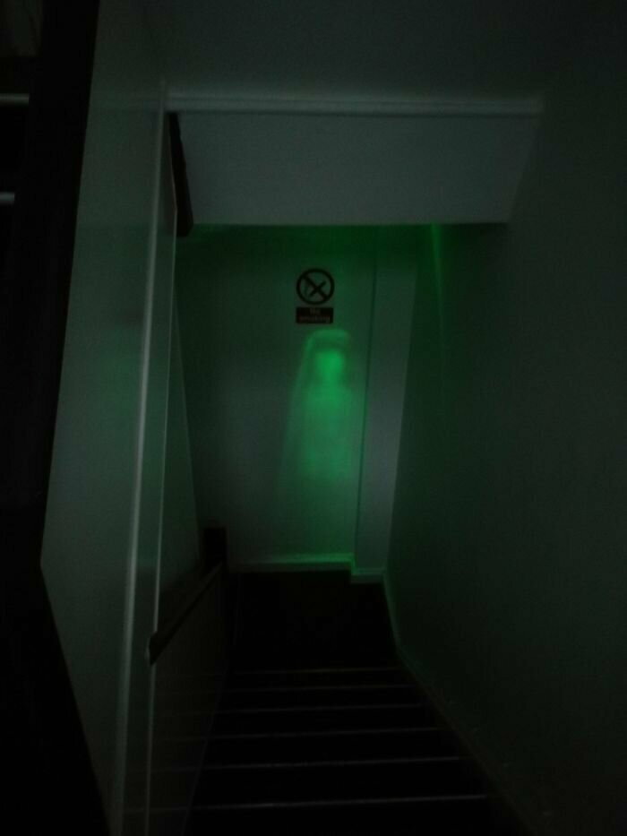 13. "Аварийное освещение на этой лестнице - новый источник моих кошмаров"