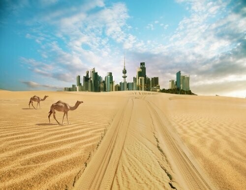 Сулайбия, Кувейт: +53,6 градуса по Цельсию