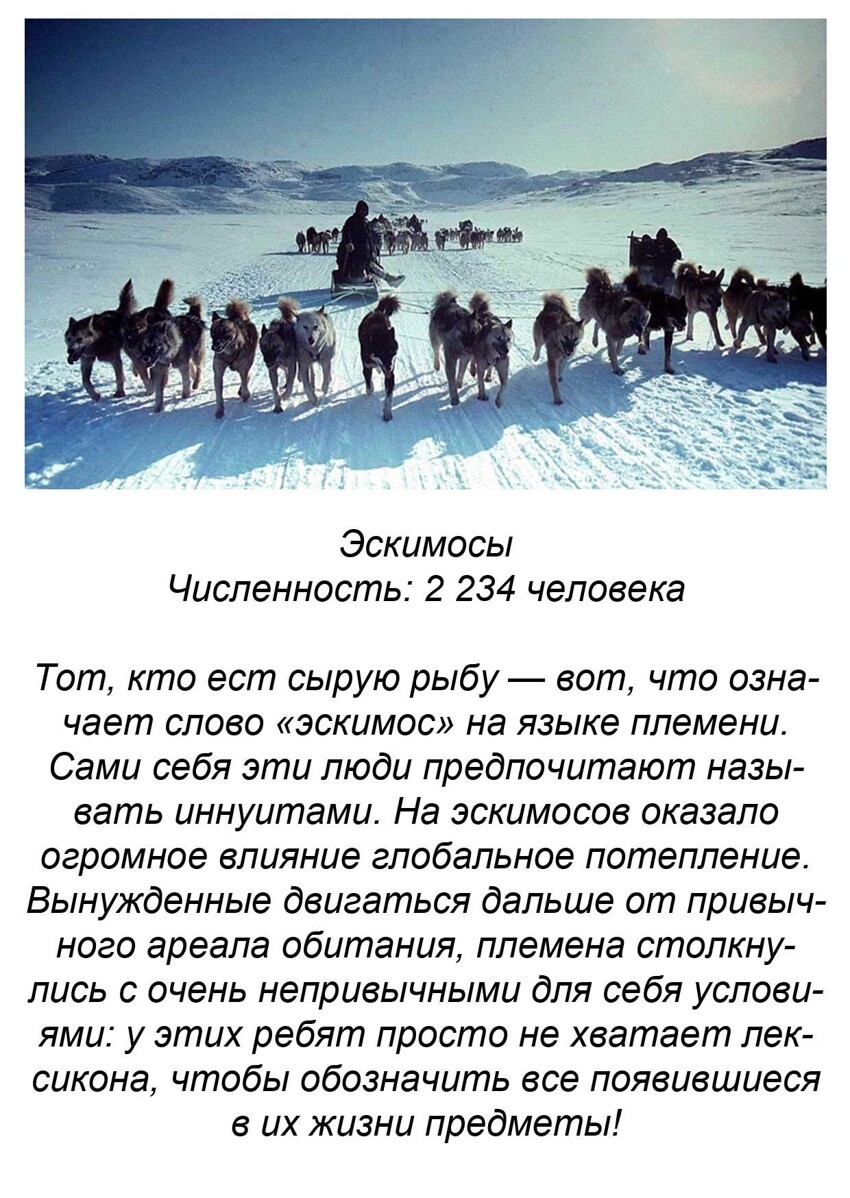 Исчезнувшие народы. Исчезающие народы России. Вымирающие народы России. Исчезающие малочисленные народы России.