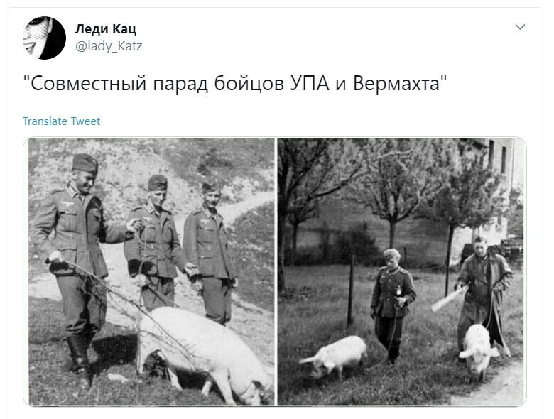 Политические скрины