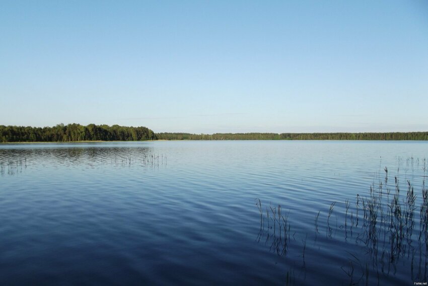 Озеро Великое, Тверская обл  разница по фото - 2 или 3 дня