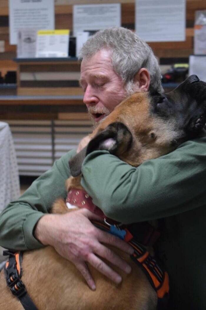 Мужчина воссоединился со своей собакой после пожаров в Калифорнии