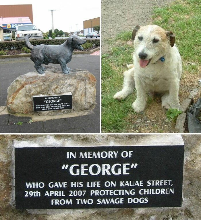 В новозеландском городке есть памятник терьеру Джорджу. Песик ценой своей жизни спас ребенка от нападения двух питбулей