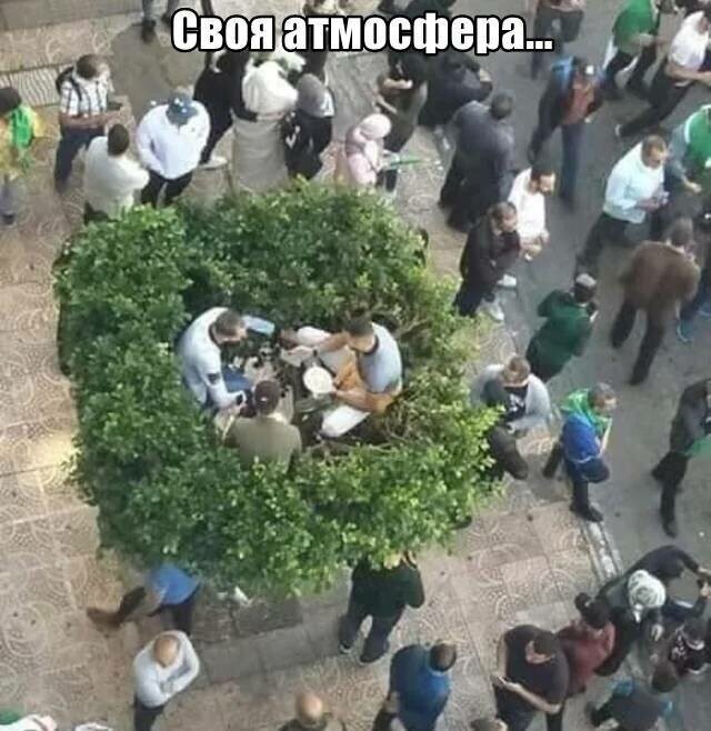 Намешалось