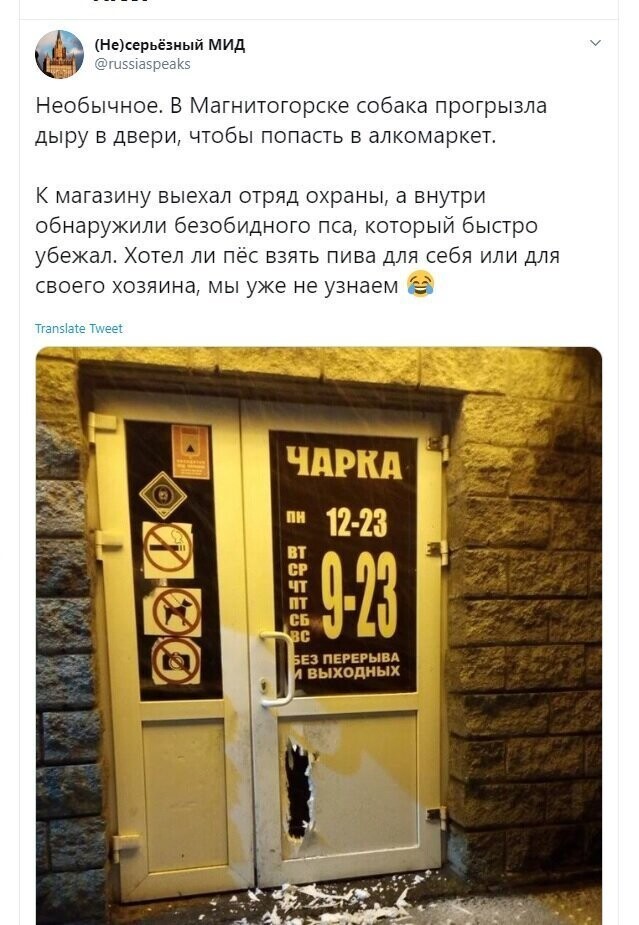Политические скрины