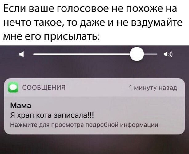 Прикольные и смешные картинки