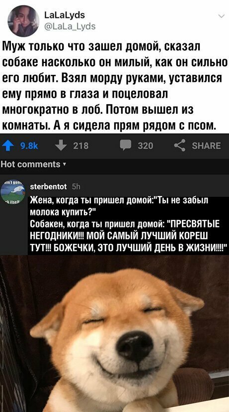 Прикольные и смешные картинки