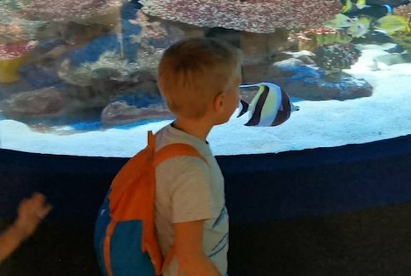 Юный посетитель океанариума устроил веселый забег вместе с рыбкой