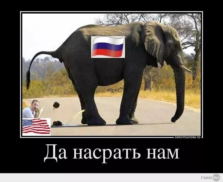 Политические бояны в картинках