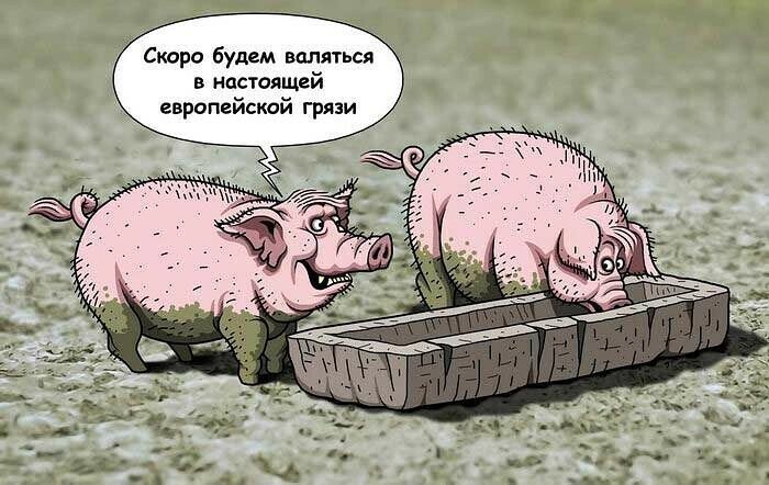 Политические бояны в картинках