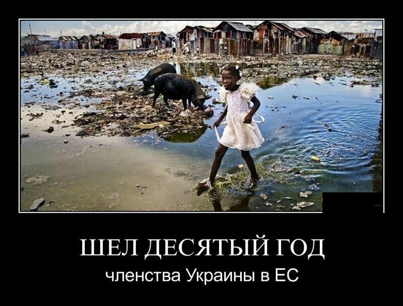 Политические бояны в картинках