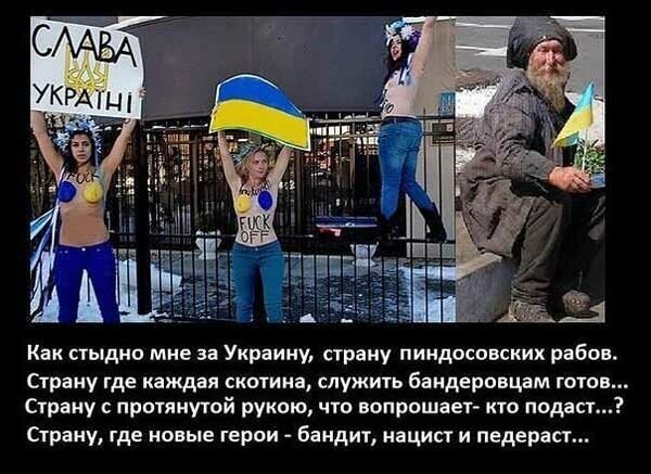 Политические бояны в картинках