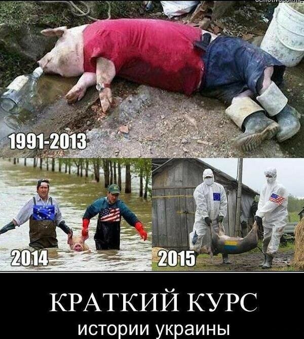 Политические бояны в картинках