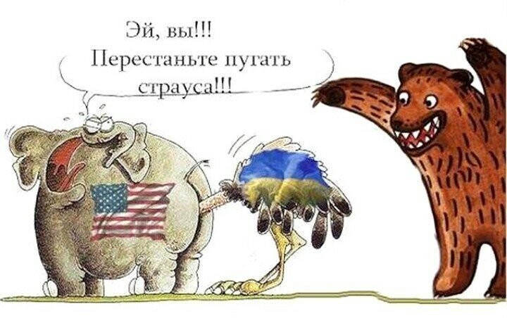 Политические бояны в картинках