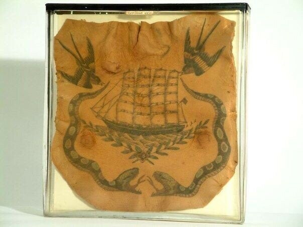 Фрагмент кожи американского моряка с традиционной татуировкой, 1800-е годы