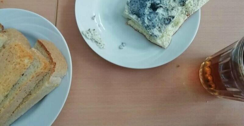 Омских школьников кормят синим омлетом