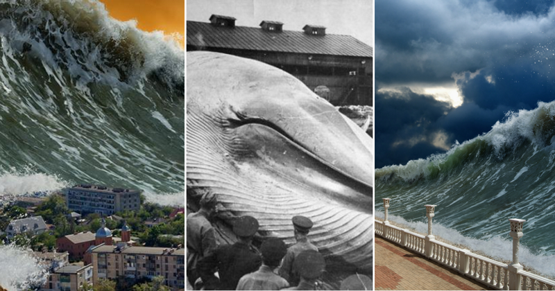 Читайте также: несколько разрушительных фактов о цунами